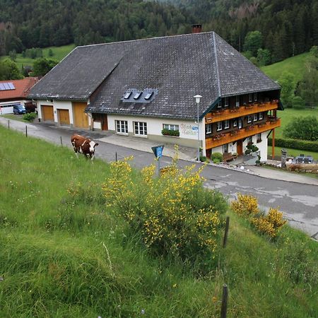 Ferienwohnung Talblick Todtmoos Exterior foto