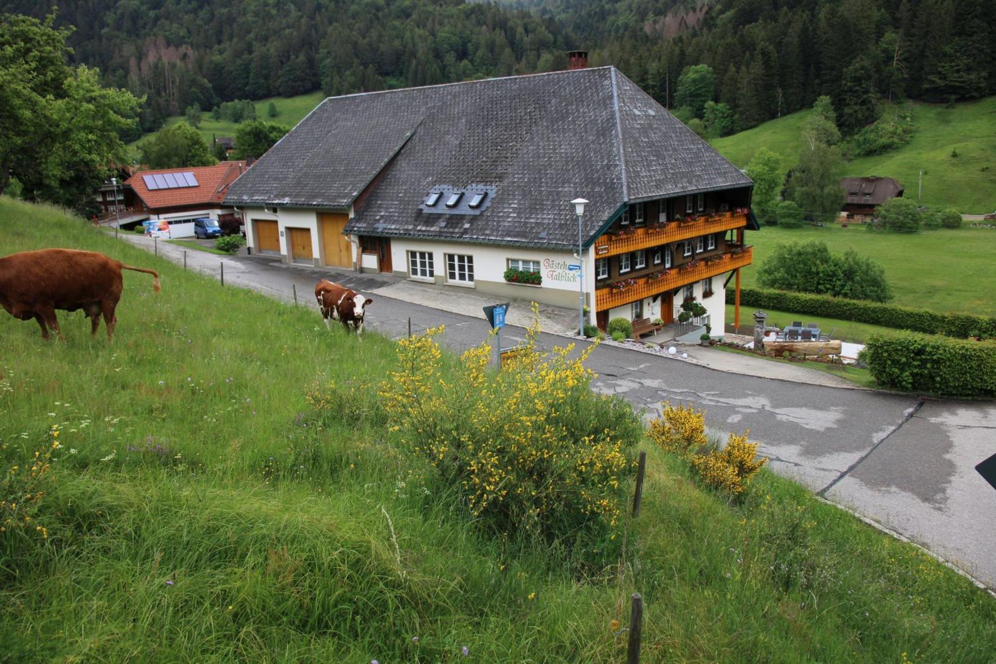 Ferienwohnung Talblick Todtmoos Exterior foto
